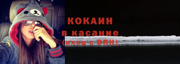 ECSTASY Алзамай