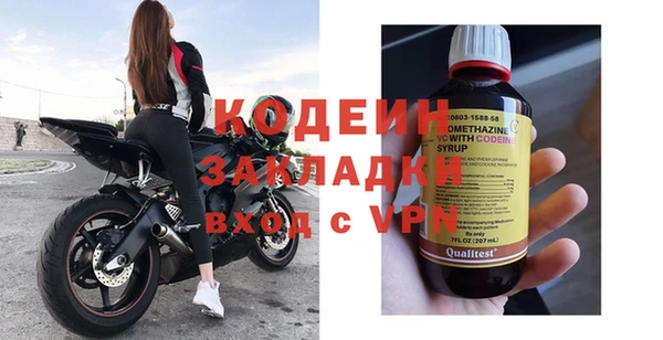 ECSTASY Алзамай